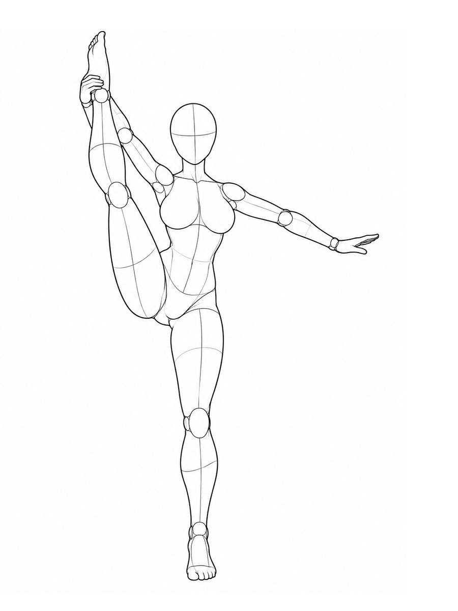 Standing, raising one leg to shoulder height and holding the ankle / Front