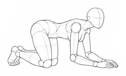 On knees and forearms / Reference view