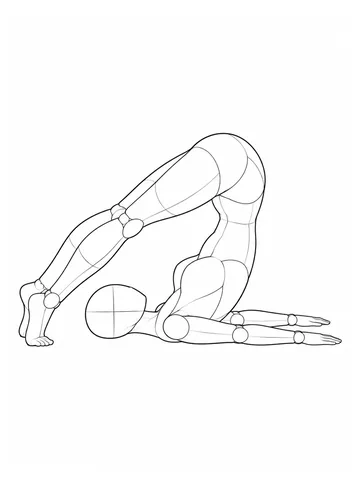 Curled backward with legs extended past the head, side view